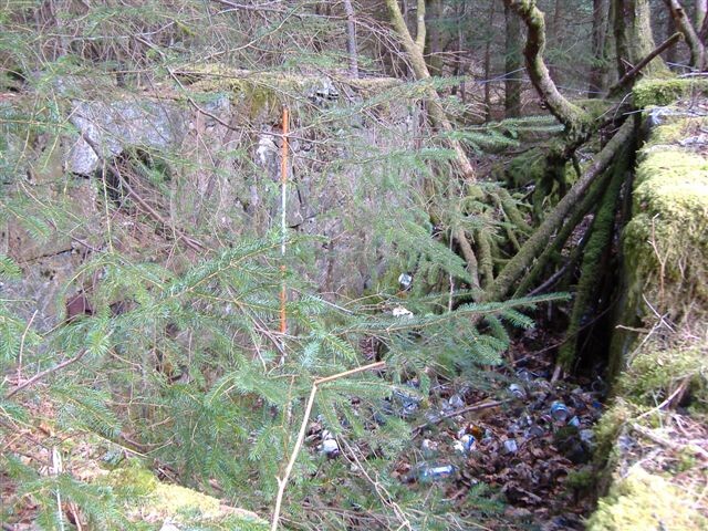 DSCF0665.JPG