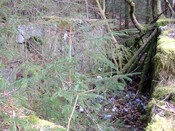 DSCF0665.JPG
