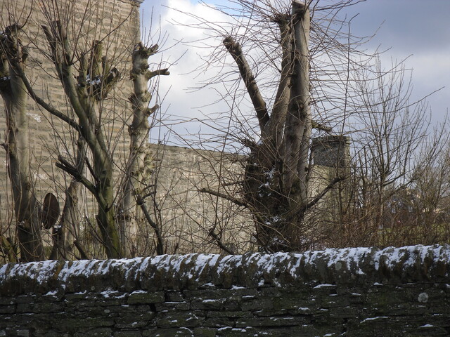 SDC10461.jpg