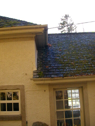 DSCN3024.JPG