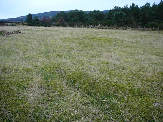SHG24671_1.JPG