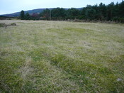SHG24671_1.JPG