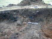 SHG24671_10.JPG
