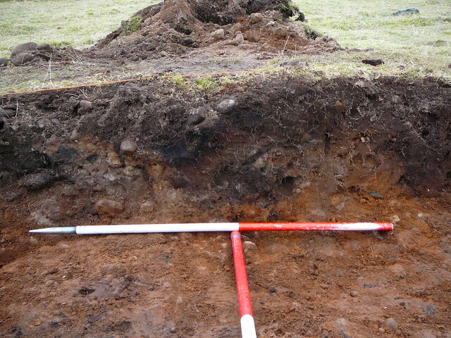 SHG24671_15.JPG