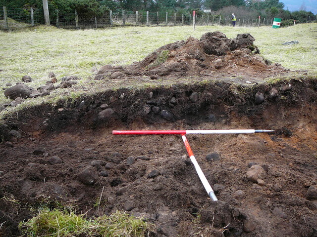 SHG24671_17.JPG