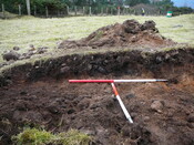 SHG24671_17.JPG