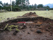 SHG24671_18.JPG