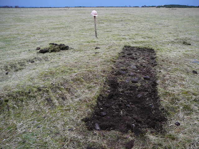 SHG24671_20.JPG
