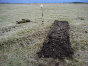 SHG24671_20.JPG
