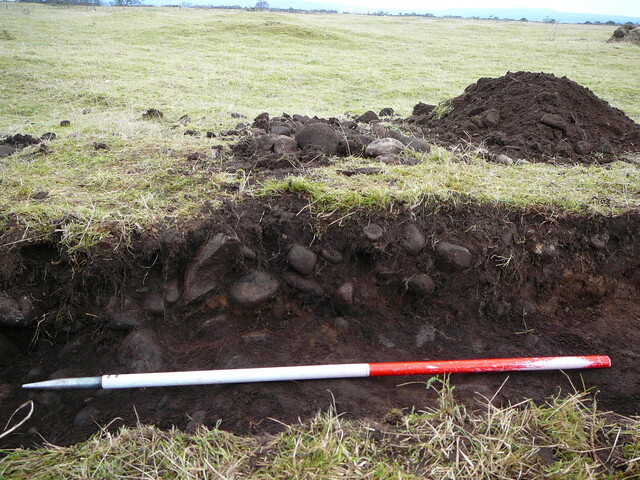 SHG24671_27.JPG