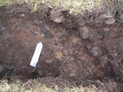 SHG24671_28.JPG