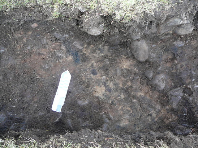 SHG24671_29.JPG