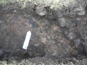 SHG24671_29.JPG