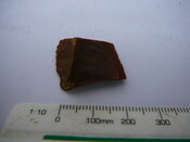 SHG24671_33.JPG