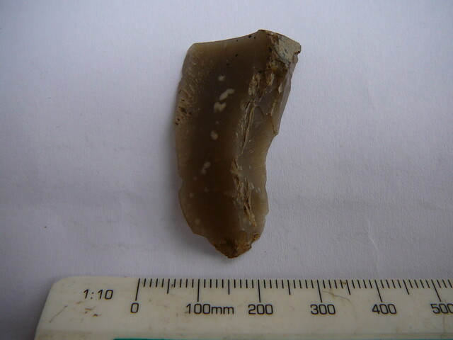 SHG24671_34.JPG