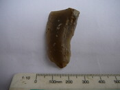 SHG24671_34.JPG