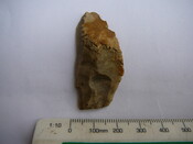 SHG24671_35.JPG