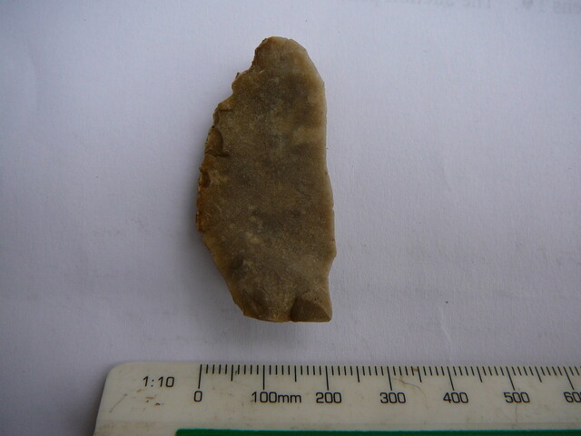 SHG24671_36.JPG