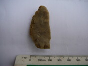 SHG24671_36.JPG