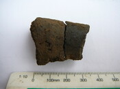 SHG24671_37.JPG