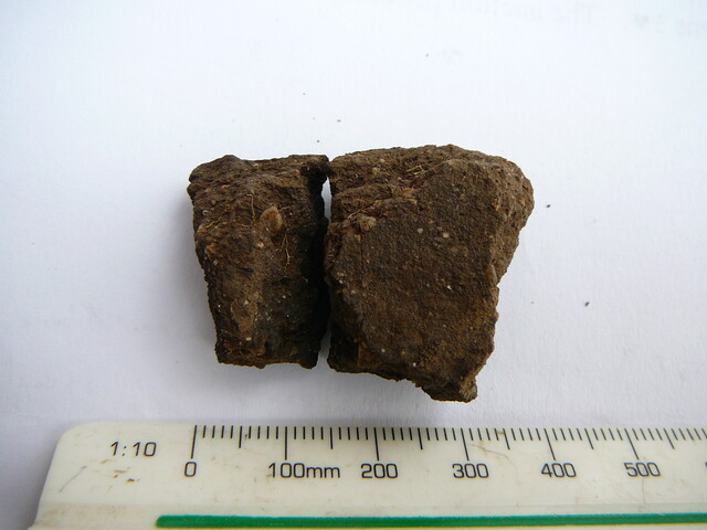 SHG24671_38.JPG
