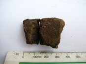 SHG24671_38.JPG