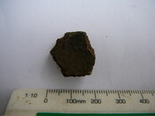 SHG24671_39.JPG