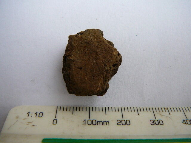 SHG24671_40.JPG