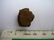 SHG24671_40.JPG
