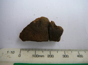 SHG24671_41.JPG
