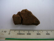 SHG24671_42.JPG