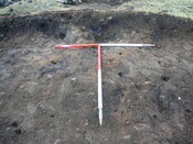 SHG24671_5.JPG
