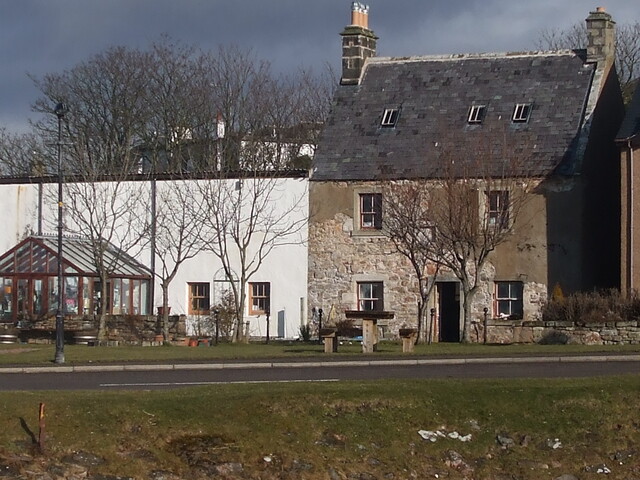 DSCF0942.jpg