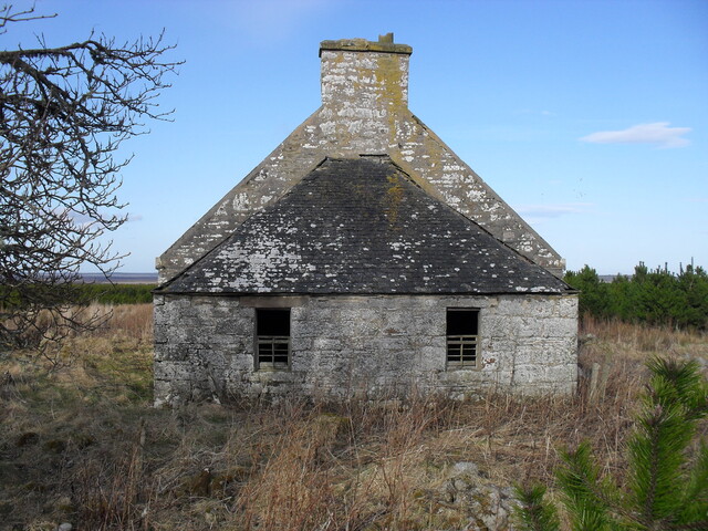 SDC10338.jpg