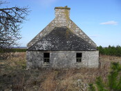 SDC10338.jpg