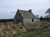 SDC10347.jpg