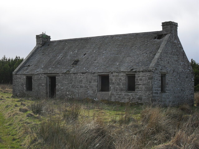 SDC10341.jpg