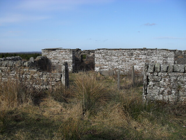 SDC10342.jpg