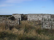 SDC10342.jpg