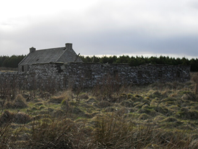 SDC10348.jpg