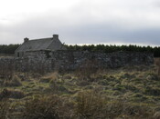 SDC10348.jpg