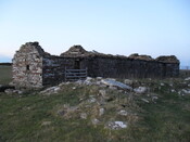 SDC10274.jpg