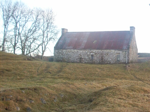 Picture 1.JPG