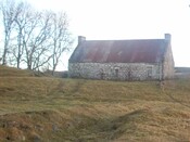 Picture 1.JPG