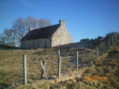 Picture 12.JPG