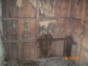 Picture 15.JPG
