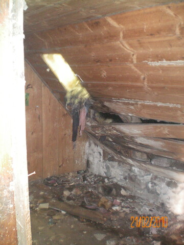 Picture 25.JPG