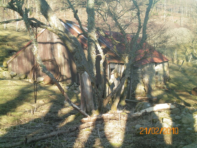 Picture 29.JPG