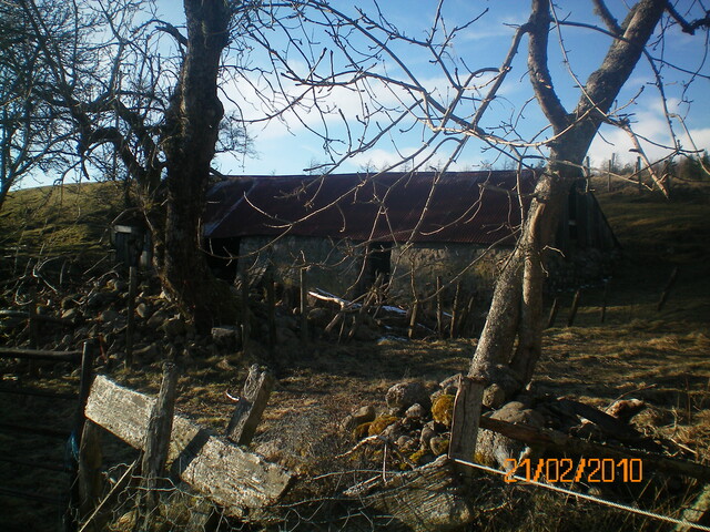 Picture 31.JPG