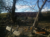 Picture 31.JPG